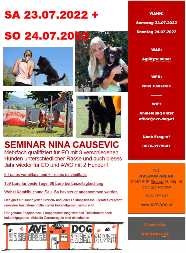 Seminar Nina Causevic